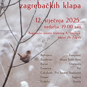 ​Koncert zagrebačkih klapa za obnovu bazilike i izgradnju centra „Anamarija Carević“