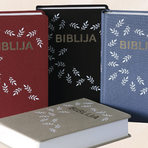 Osvrt biskupa Šaška na predstavljanja prijevoda Biblije na govorni jezik