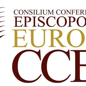 Kardinal Bozanić na zasjedanju kardinala i predsjednika biskupskih konferencija Srednje i Istočne Europe