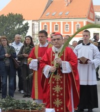 Proslava Cvjetnice u zagrebačkoj katedrali