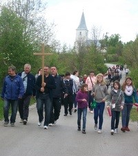 Cvjetnica na Vivodini