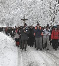 Hodočašće Župe bl. Alojzija Stepinca u Krašić