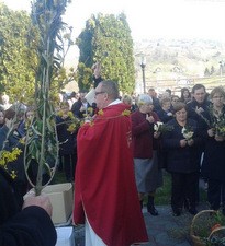 Cvjetnica u Župi Radoboj