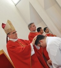 Đakonsko ređenje Luke Brešića u župi sv. Petra u Zaprešiću