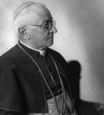 Povijest Sinode: Sazivanje Prve sinode 1925.