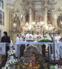 Misa zahvalnica u Župi svetog Petra u Prišlinu