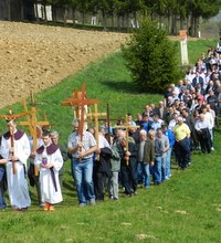 Tradicionalni župni križni put u Novigradu na Dobri
