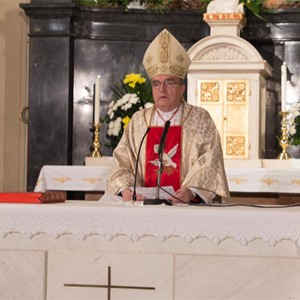 Kardinalova homilija na svetkovinu Svih svetih 2019.