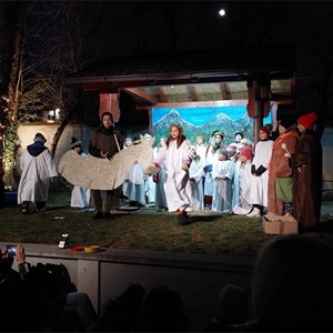 Božićni igrokaz "Tajna jednog magarca"