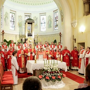 Kardinal Puljić predvodio spomen-slavlje u Krašiću