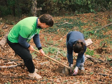 /A/2025/10/G/251022-72Sata (14).jpeg