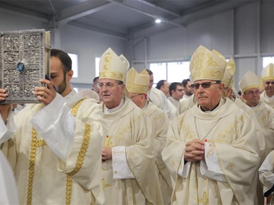 /A/2025/10/Kardinalova zlatna misa/251020 (27).JPG