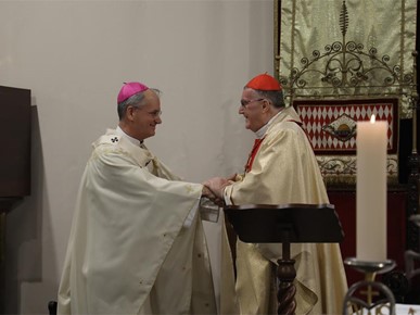 /A/2025/10/Kardinalova zlatna misa/251020 (9).JPG