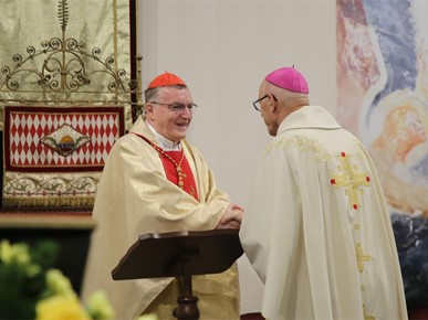 /A/2025/10/Kardinalova zlatna misa/251020 Zlatna misa (11).JPG