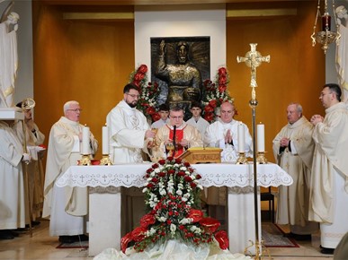 /A/2025/11/E/Kardinal Bozanić predvodio misno slavlje svetkovine Krista Kralja (22).JPG