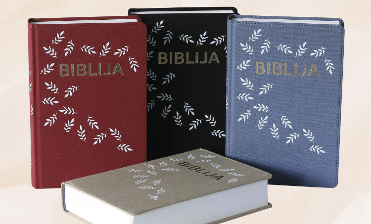 Osvrt biskupa Šaška na predstavljanja prijevoda Biblije na govorni jezik