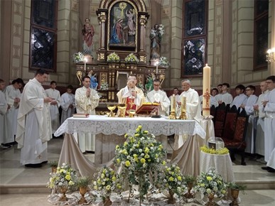 /A/2025/4/D/​Biskup Šaško predvodio Vazmeno bdjenje u Župi Navještenja BDM u Velikoj Gorici (7).jpeg