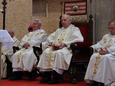 /A/2026/10/G/261025 Zlatna misa preč. Franjčića i preč. Martinjaka (23).JPG