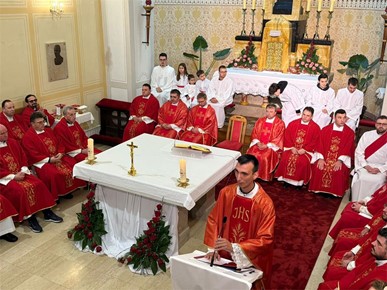 /A/2026/2/C/Don Ante Vrcić predvodio misno slavlje posljednjeg dana devetnice bl. Alojziju Stepincu u Krašiću (3).jpeg