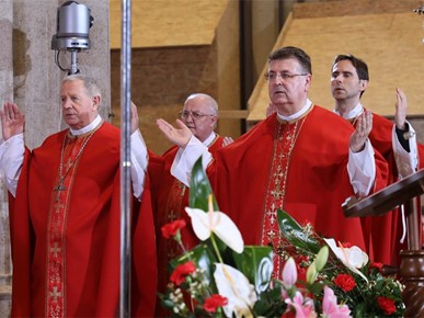 /A/2026/2/STEPINČEVO/260210 Stepinčevo u katedrali (33).JPG