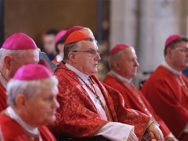 /A/2026/2/STEPINČEVO/260210 Stepinčevo u katedrali (45).JPG