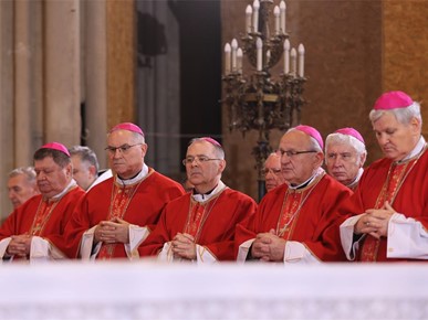 /A/2026/2/STEPINČEVO/260210 Stepinčevo u katedrali (9).JPG