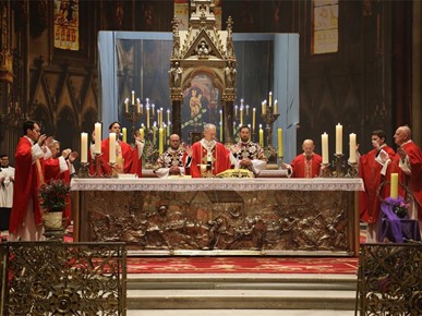 /A/2026/3/Cvjetnica/Nadbiskup Kutleša predvodio misno slavlje Nedjelje Muke Gospodnje u Zagrebačkoj katedrali (27).JPG