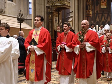 /A/2026/3/Cvjetnica/Nadbiskup Kutleša predvodio misno slavlje Nedjelje Muke Gospodnje u Zagrebačkoj katedrali (31).JPG