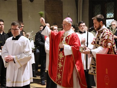 /A/2026/3/Cvjetnica/Nadbiskup Kutleša predvodio misno slavlje Nedjelje Muke Gospodnje u Zagrebačkoj katedrali (4).JPG