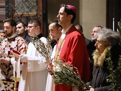 /A/2026/3/Cvjetnica/Nadbiskup Kutleša predvodio misno slavlje Nedjelje Muke Gospodnje u Zagrebačkoj katedrali (8).JPG