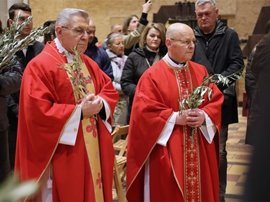 /A/2026/3/Cvjetnica/Nadbiskup Kutleša predvodio misno slavlje Nedjelje Muke Gospodnje u Zagrebačkoj katedrali (9).JPG