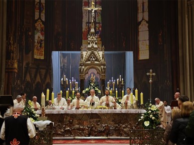 /A/2026/4/VELIKA SUBOTA/260404 Nadbiskup Kutleša predvodio Vazmeno bdjenje u Zagrebačkoj katedrali (13).JPG